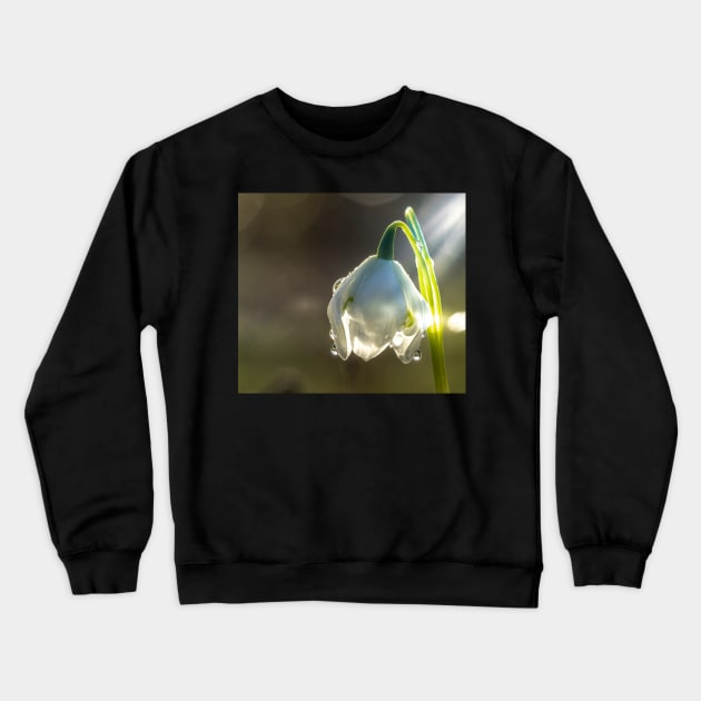 Galanthus Crewneck Sweatshirt by Shadow3561